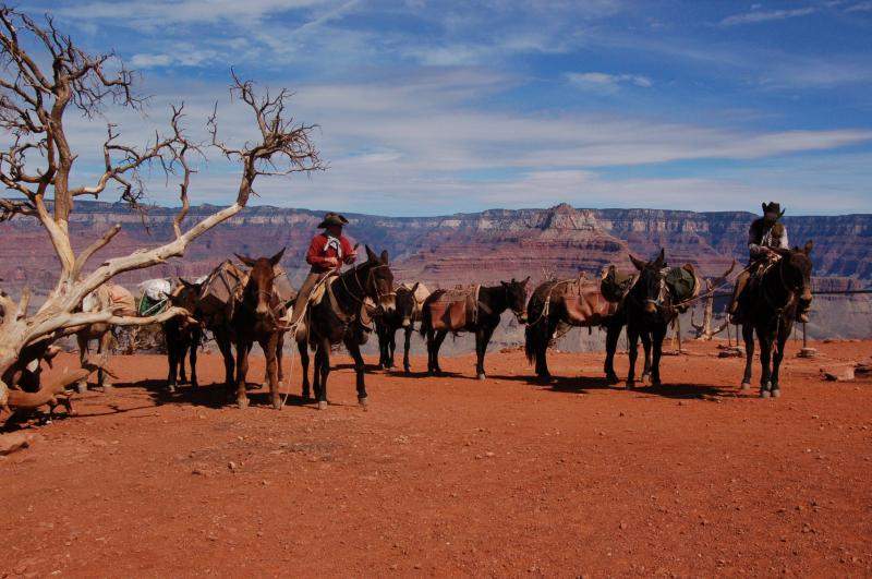 <i><b>0270-Grand_Canyon_National_Park</b></i>