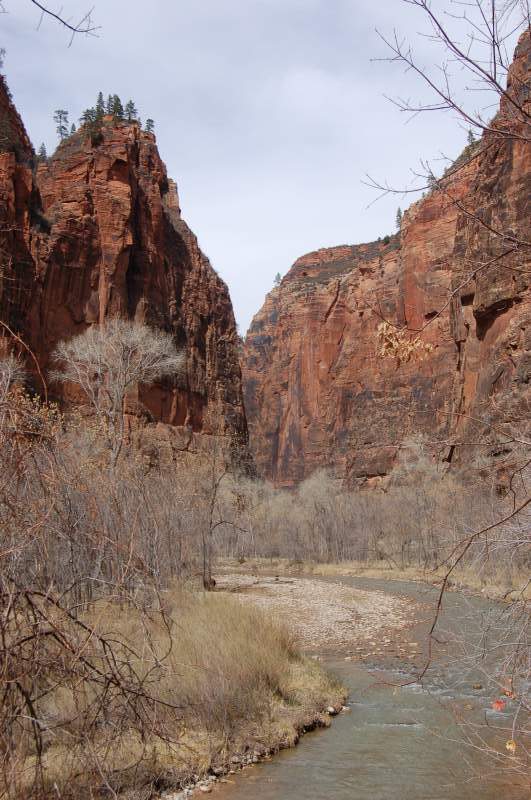 <i><b>0492-Zion_National_Park</b></i>