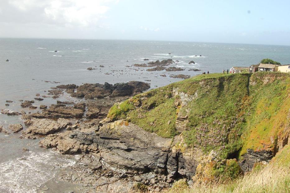 <i><b>Lizard-Point</b></i>