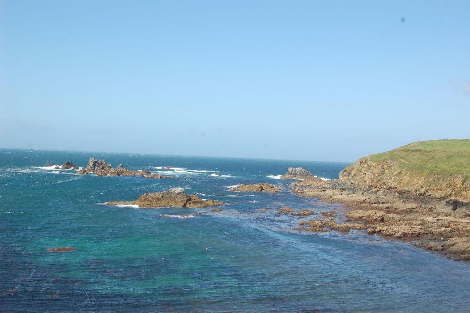 <i><b>Lizard-Point</b></i>