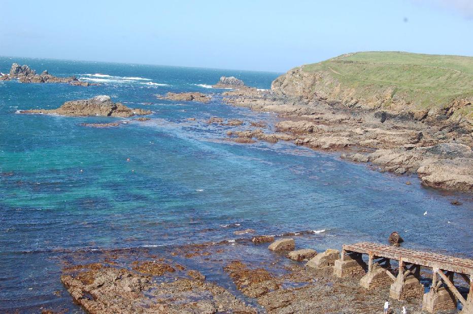 <i><b>Lizard-Point</b></i>