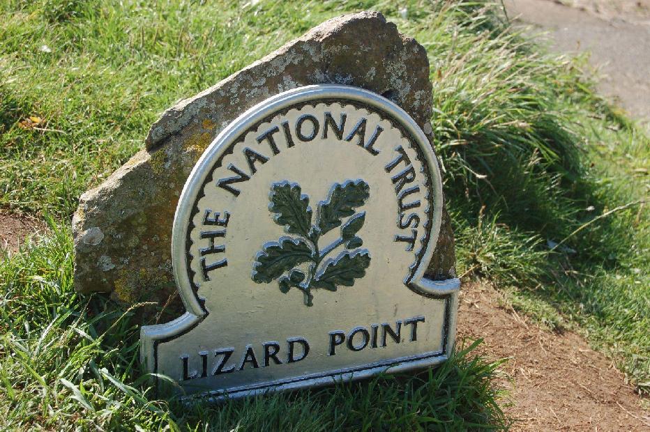 <i><b>Lizard-Point</b></i>