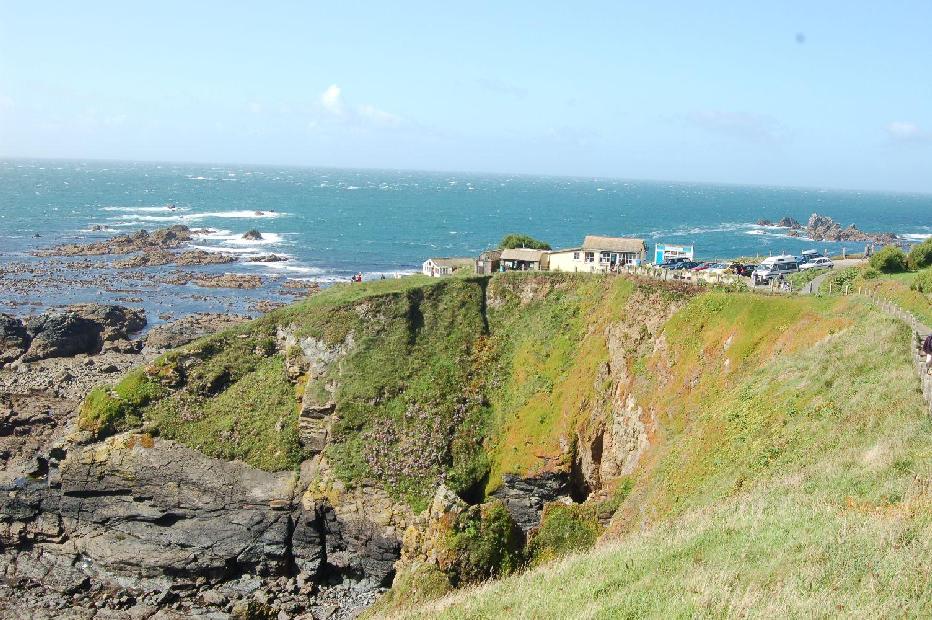 <i><b>Lizard-Point</b></i>