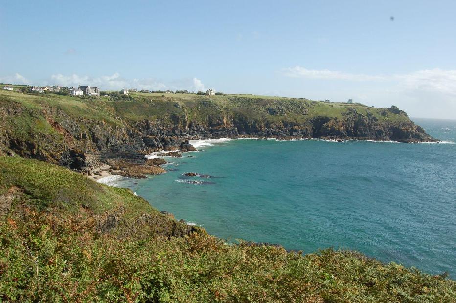 <i><b>Lizard-Point</b></i>