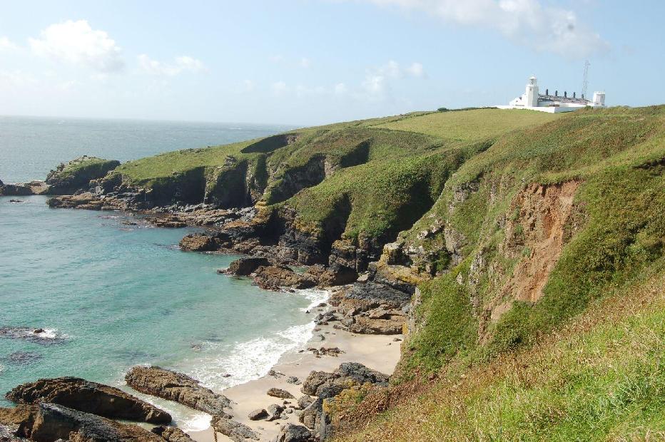 <i><b>Lizard-Point</b></i>