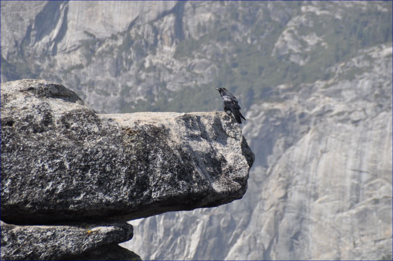 California-2014-284 - Yosemite National Park