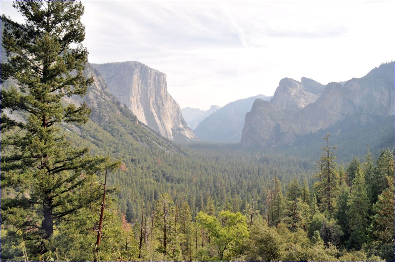 California-2014-473 - Yosemite National Park