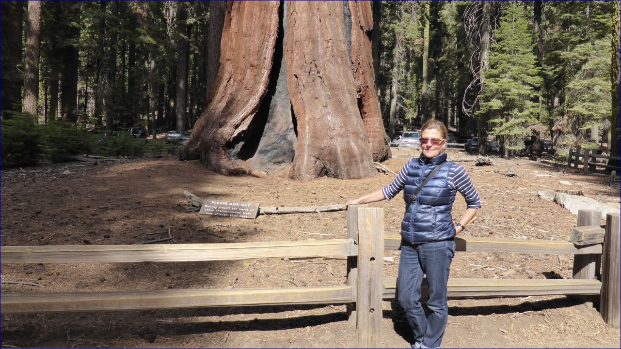 California-2014-476 - Yosemite National Park