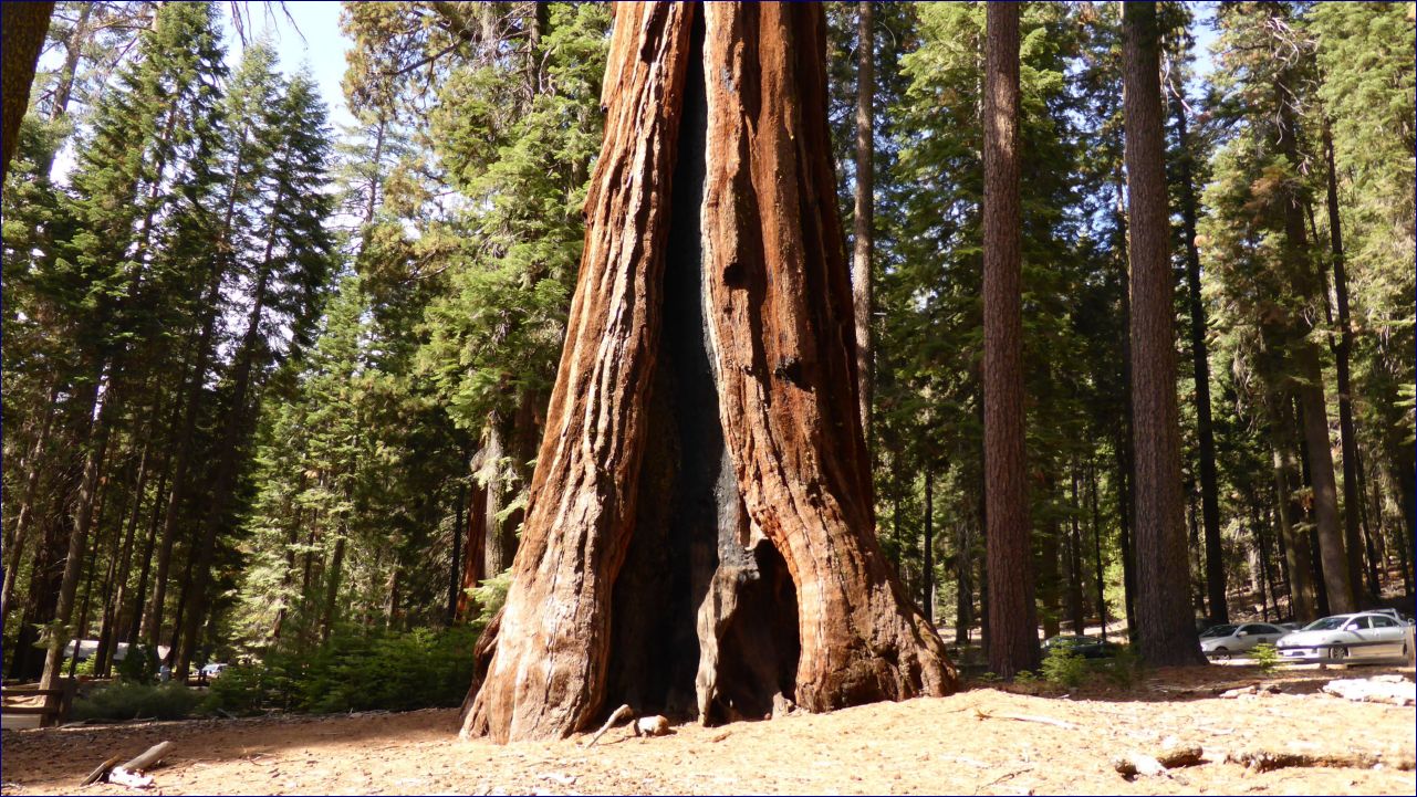 California-2014-477 - Yosemite National Park