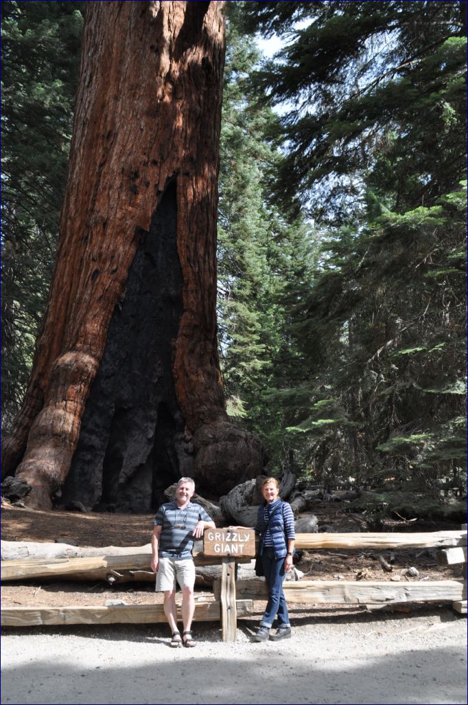 California-2014-505 - Yosemite National Park