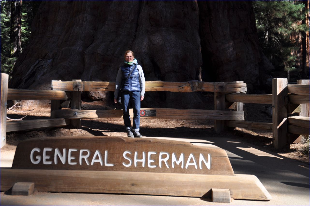 California-2014-542 - Sequoia Nationel Park