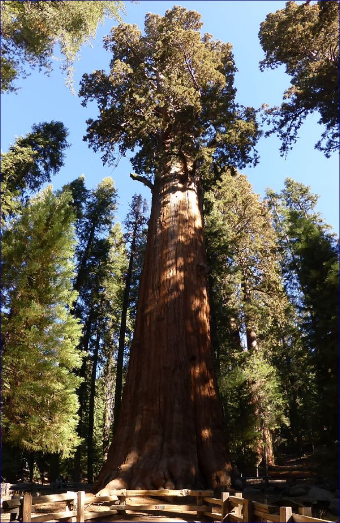 California-2014-546 - Sequoia Nationel Park