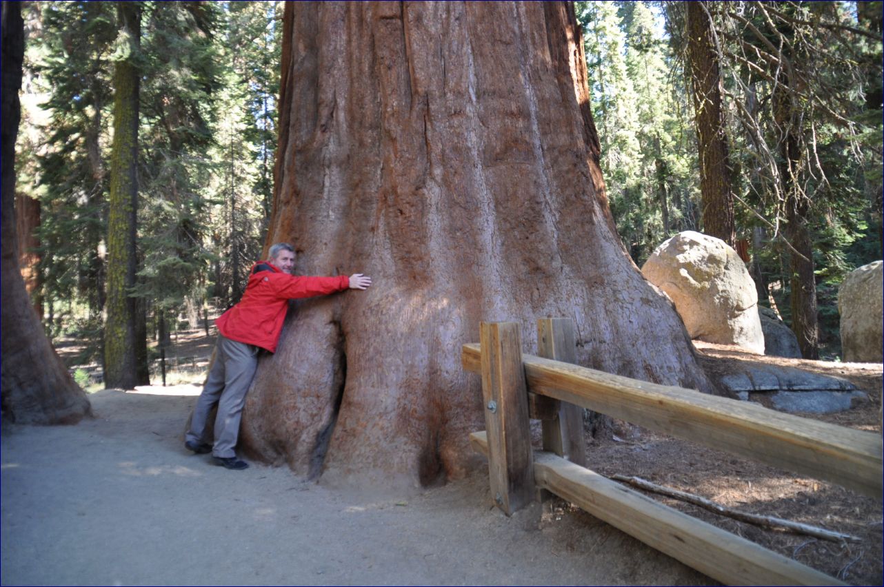 California-2014-547 - Sequoia Nationel Park