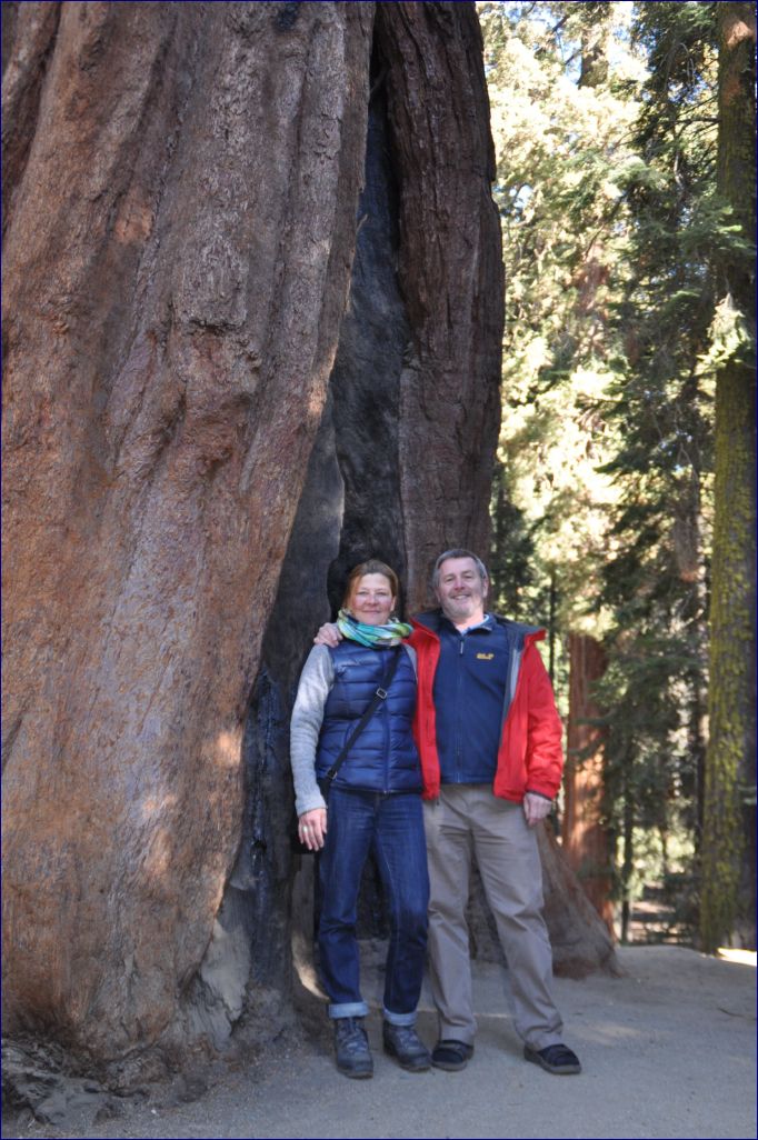 California-2014-549 - Sequoia Nationel Park