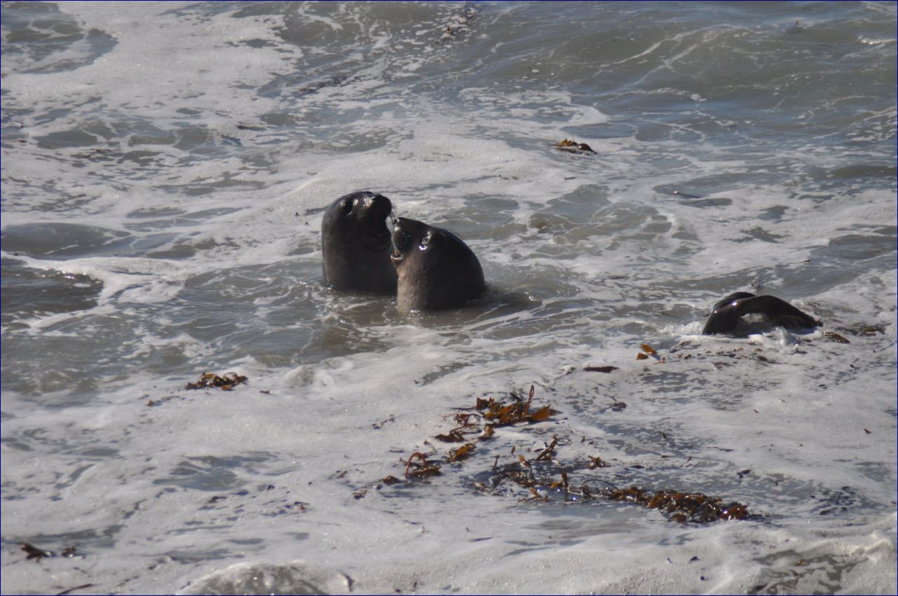 California-2014-713