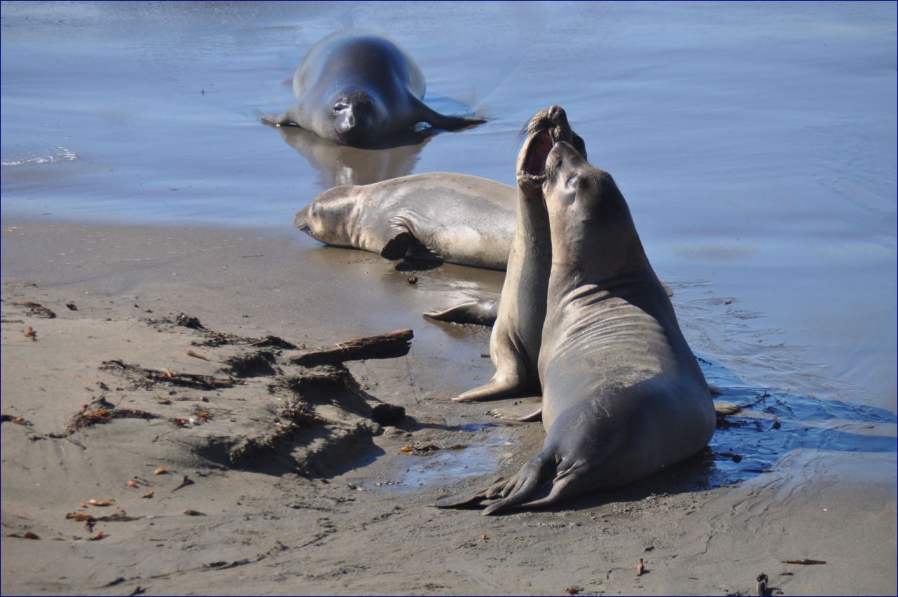 California-2014-722