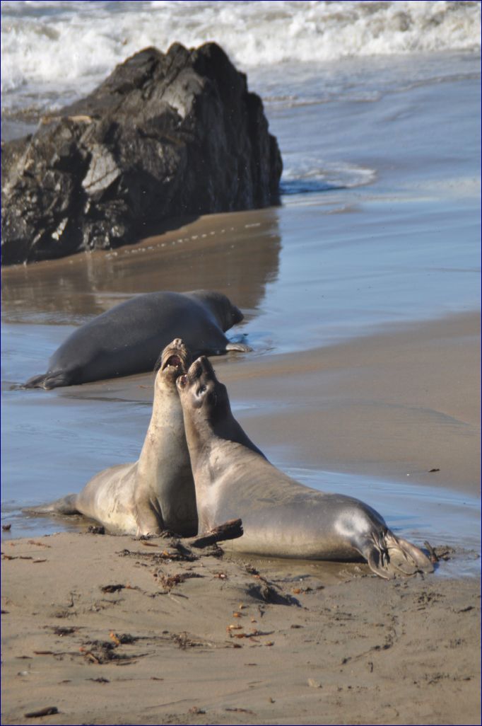 California-2014-724