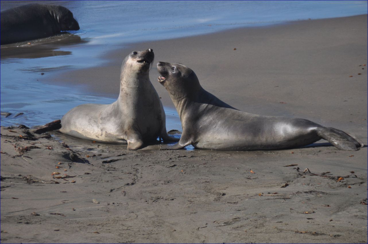 California-2014-726