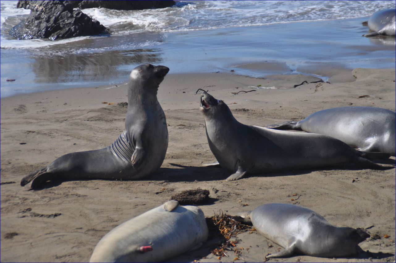 California-2014-728