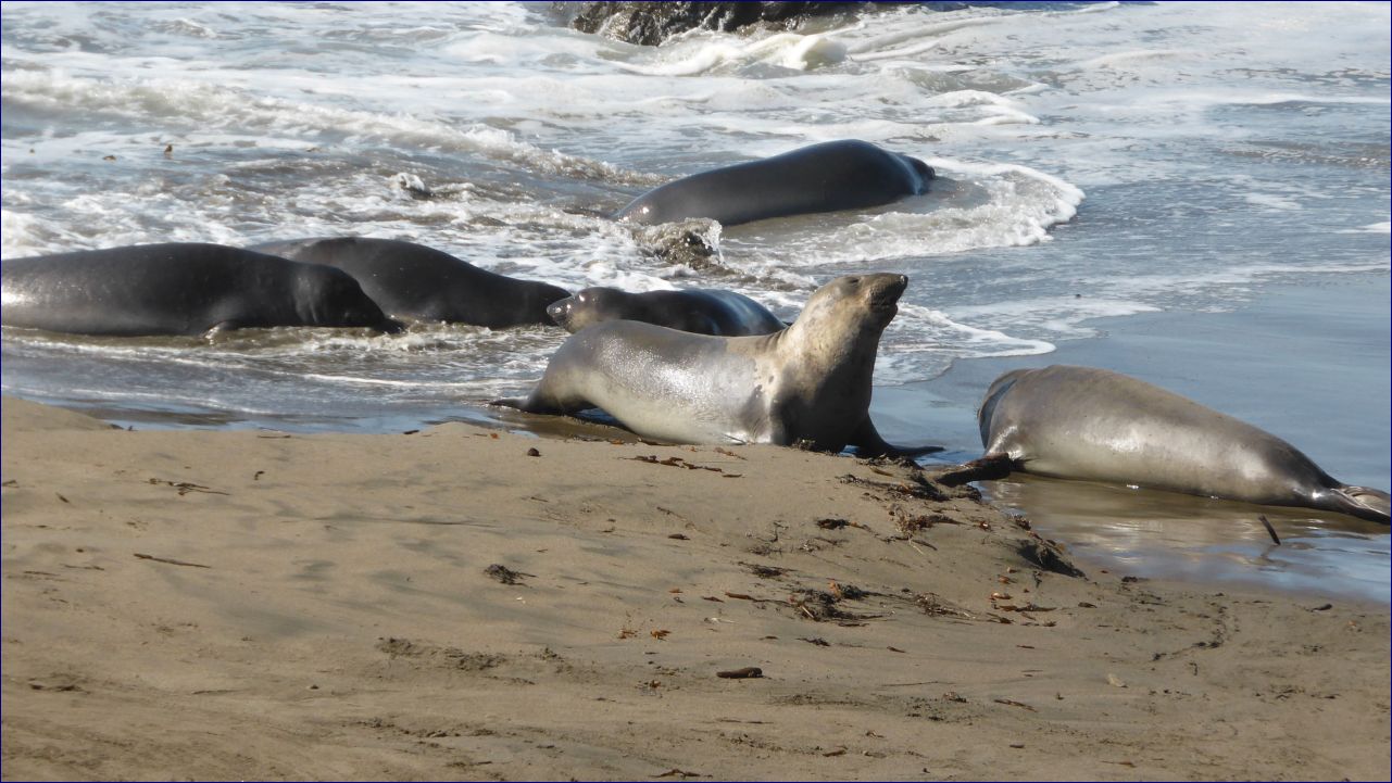 California-2014-732