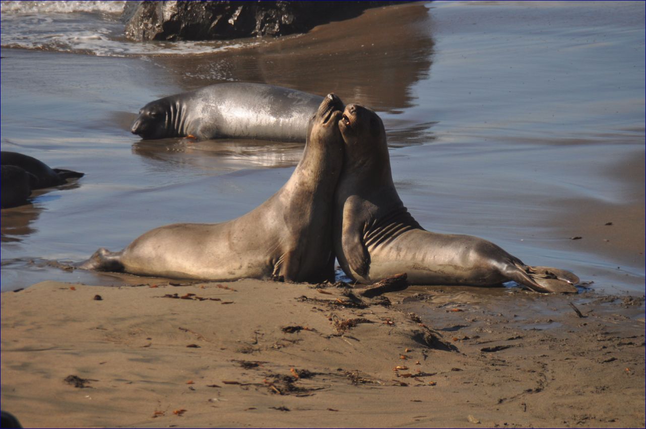 California-2014-734