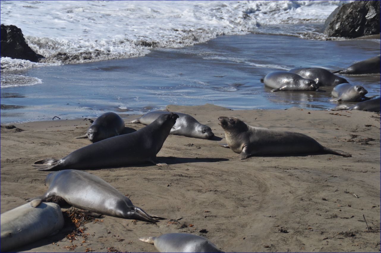 California-2014-740