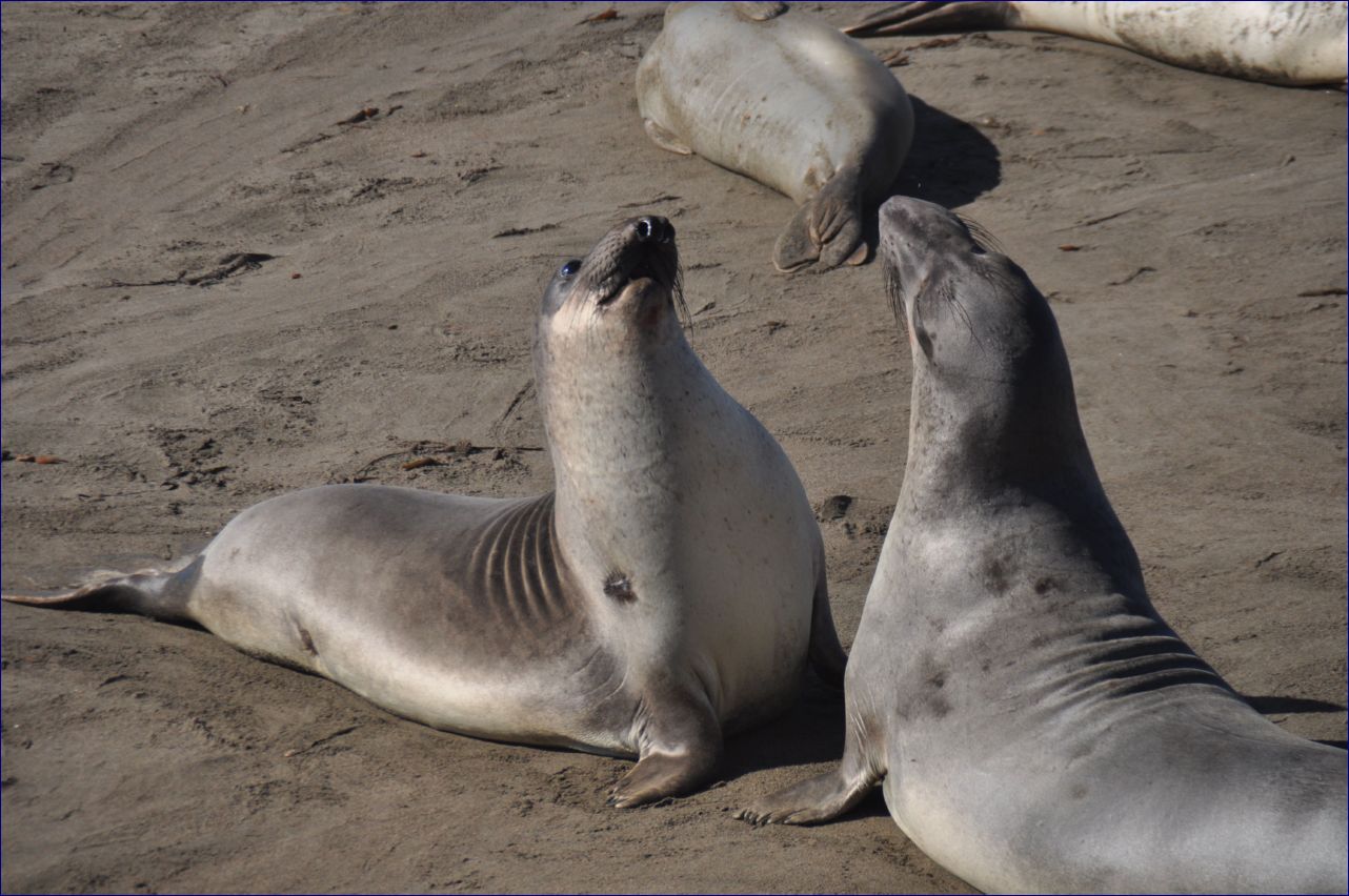 California-2014-752