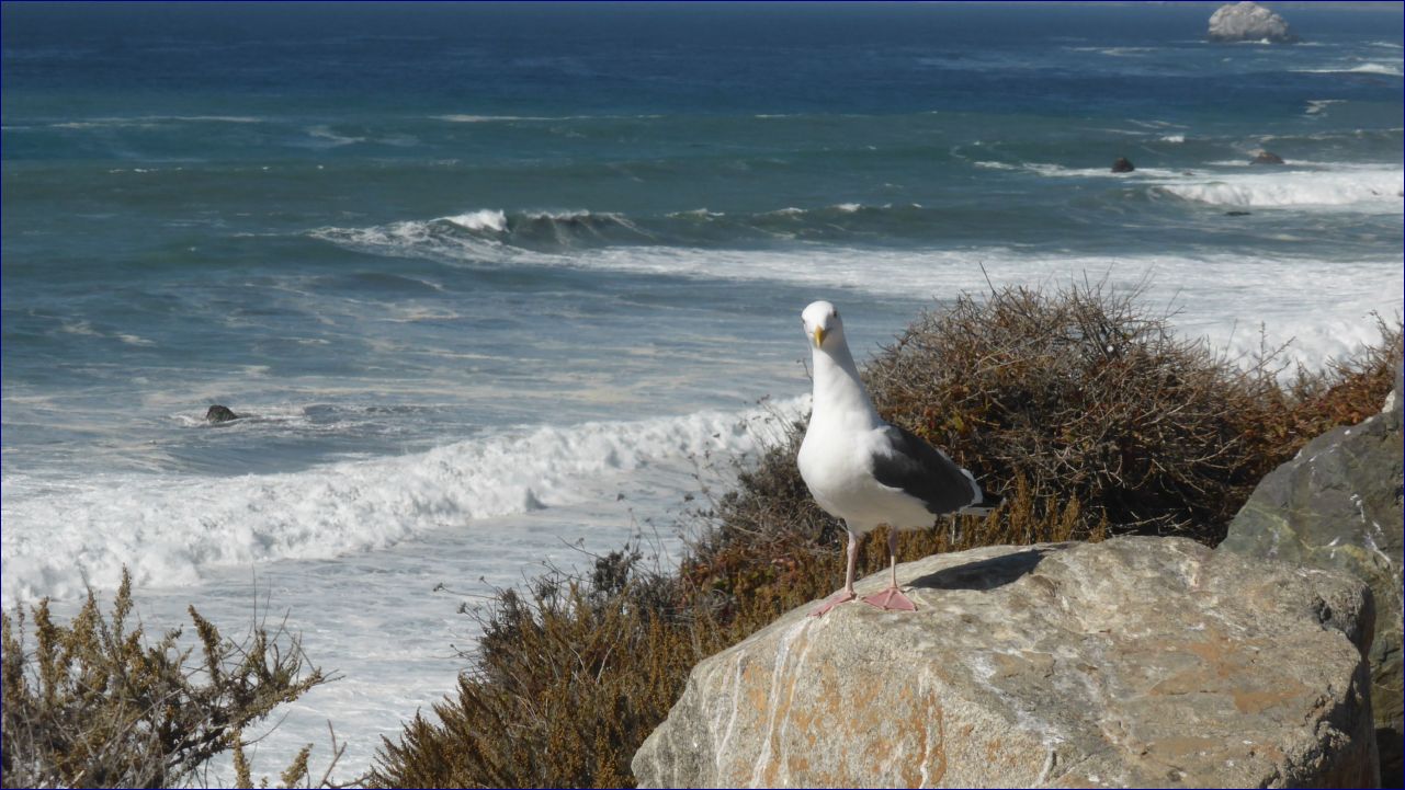 California-2014-824 - California Coast