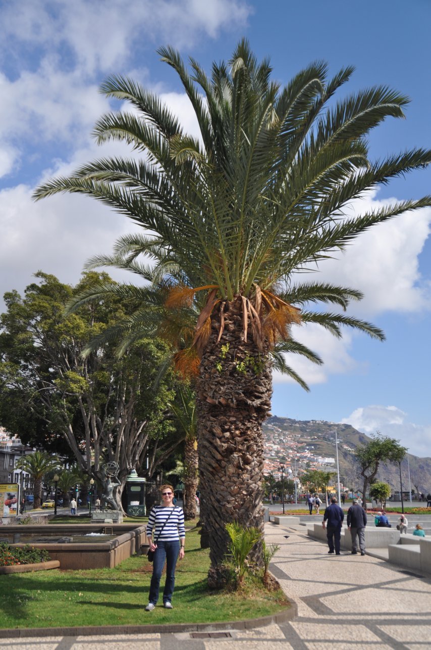 Funchal