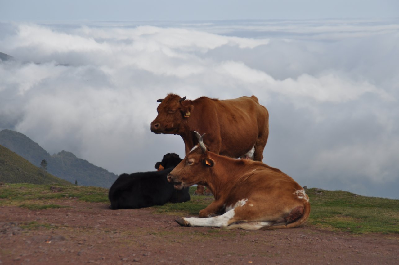 Serra do Paul