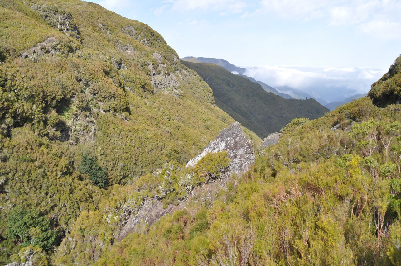 Serra do Paul