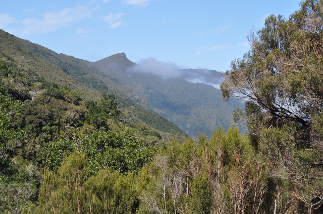 Serra do Paul