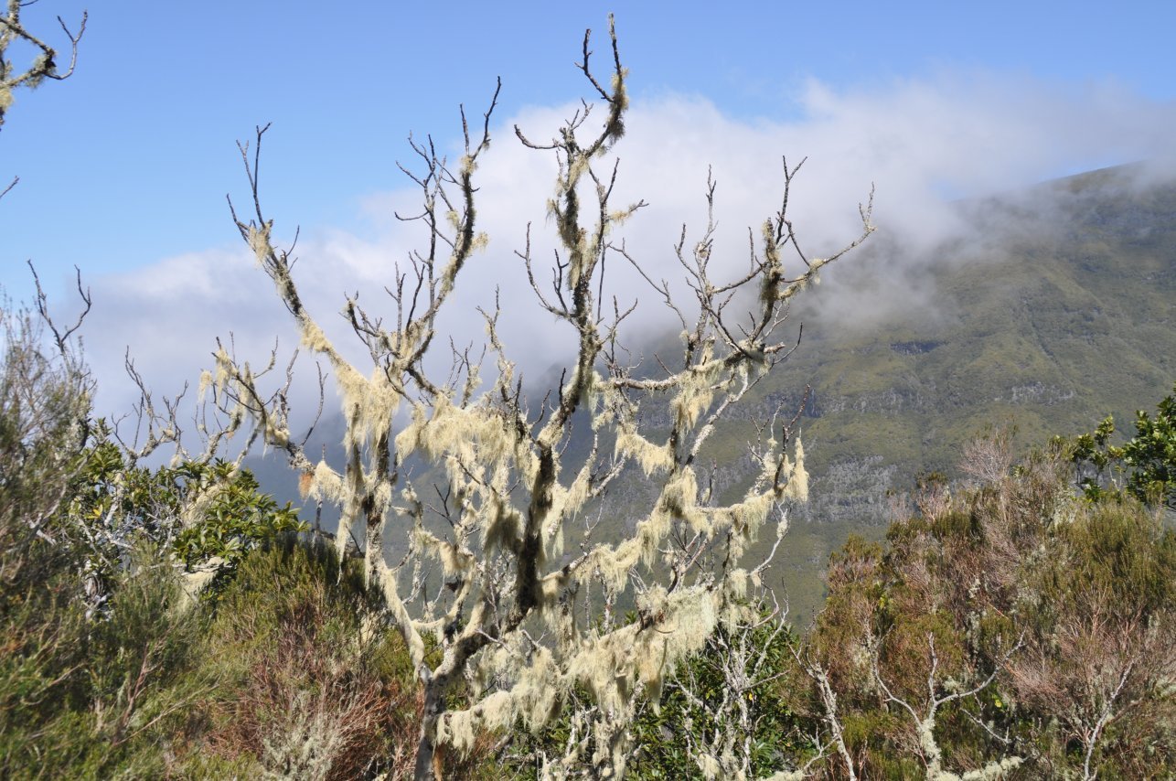 Serra do Paul