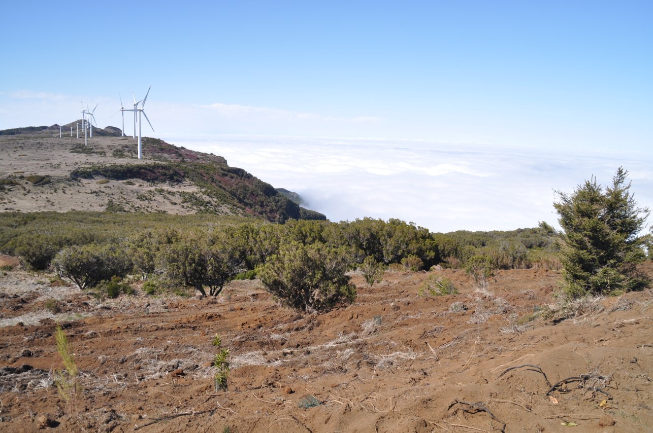 Serra do Paul