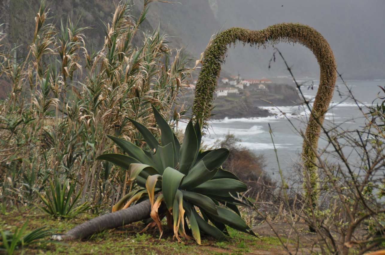 Sao Vicente