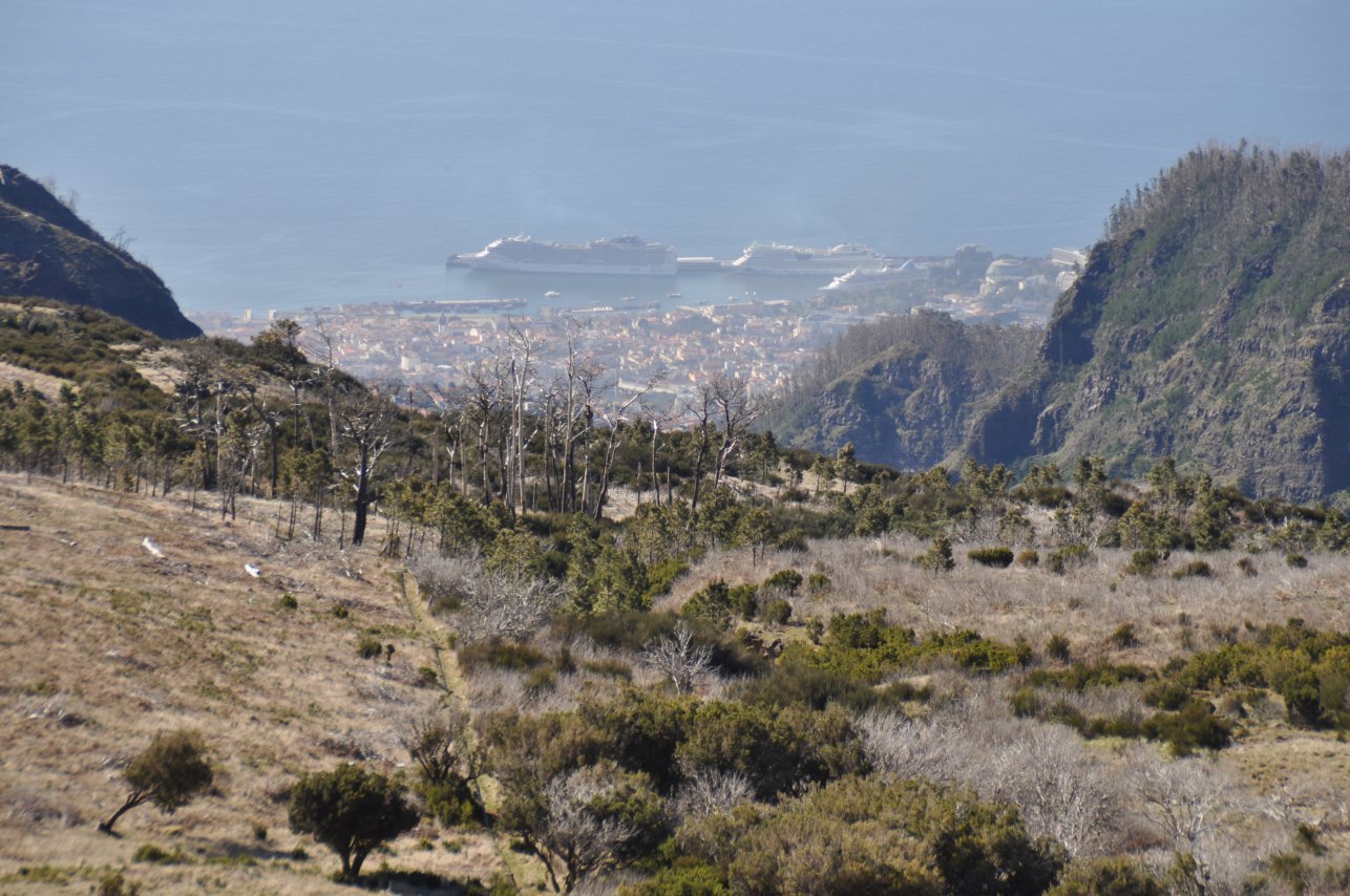 Wanderung zum Pico Ruivo