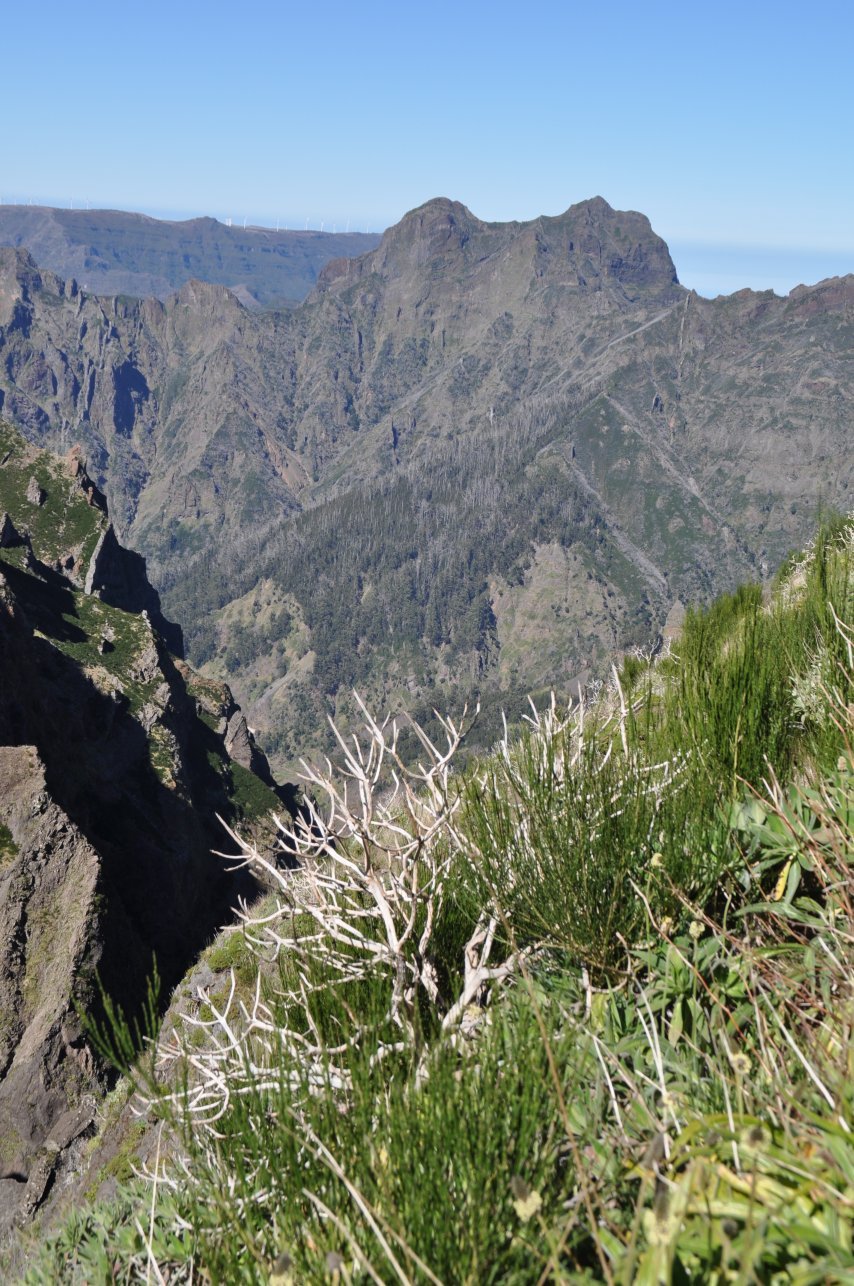 Wanderung zum Pico Ruivo