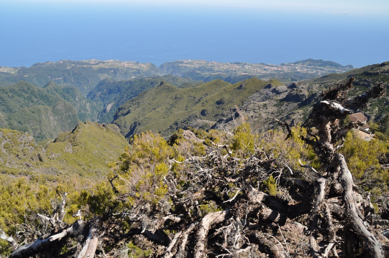 Wanderung zum Pico Ruivo