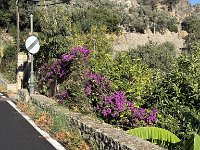 Mallorca-Spanien-Frankreich-25-0221