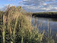 Mallorca-Spanien-Frankreich-25-0301