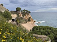 Mallorca-Spanien-Frankreich-25-0431