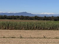 Mallorca-Spanien-Frankreich-25-0458