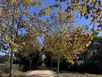 Mallorca-Spanien-Frankreich-25-0462