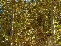 Mallorca-Spanien-Frankreich-25-0466