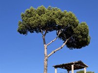 Mallorca-Spanien-Frankreich-25-0478