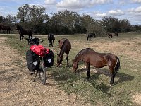 Mallorca-Spanien-Frankreich-25-0508