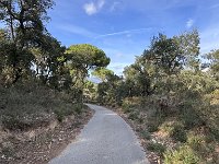 Mallorca-Spanien-Frankreich-25-0520