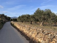 Mallorca-Spanien-Frankreich-25-0524