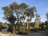 Mallorca-Spanien-Frankreich-25-0530