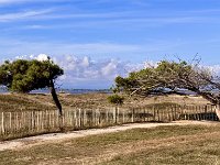 Mallorca-Spanien-Frankreich-25-0562